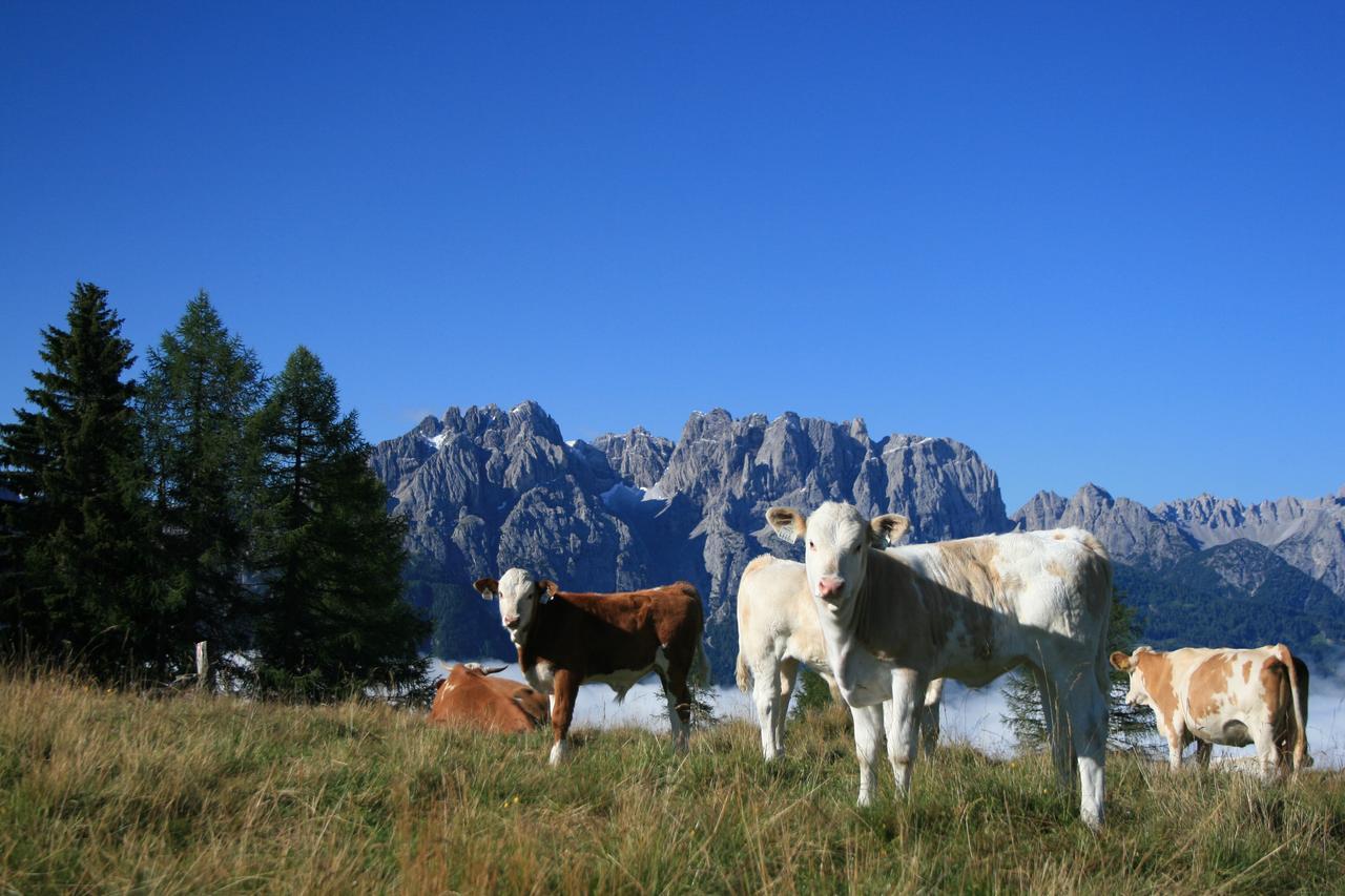 Ferienhaus Sporer Iselsberg Exteriör bild